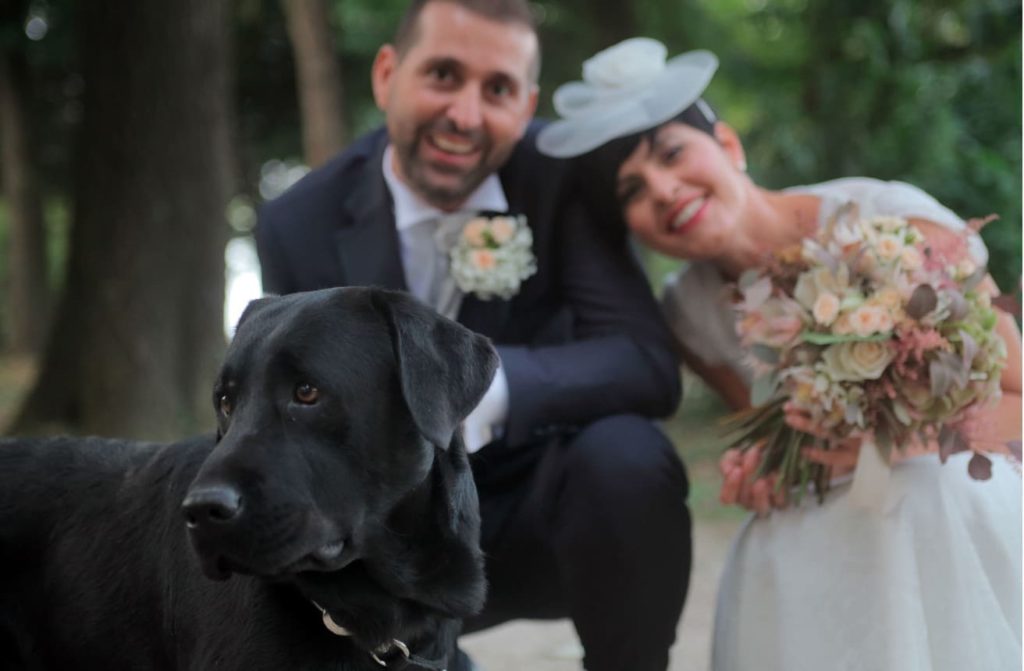 matrimonio con il cane labrador