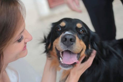 Sposa con cane al matrimonio