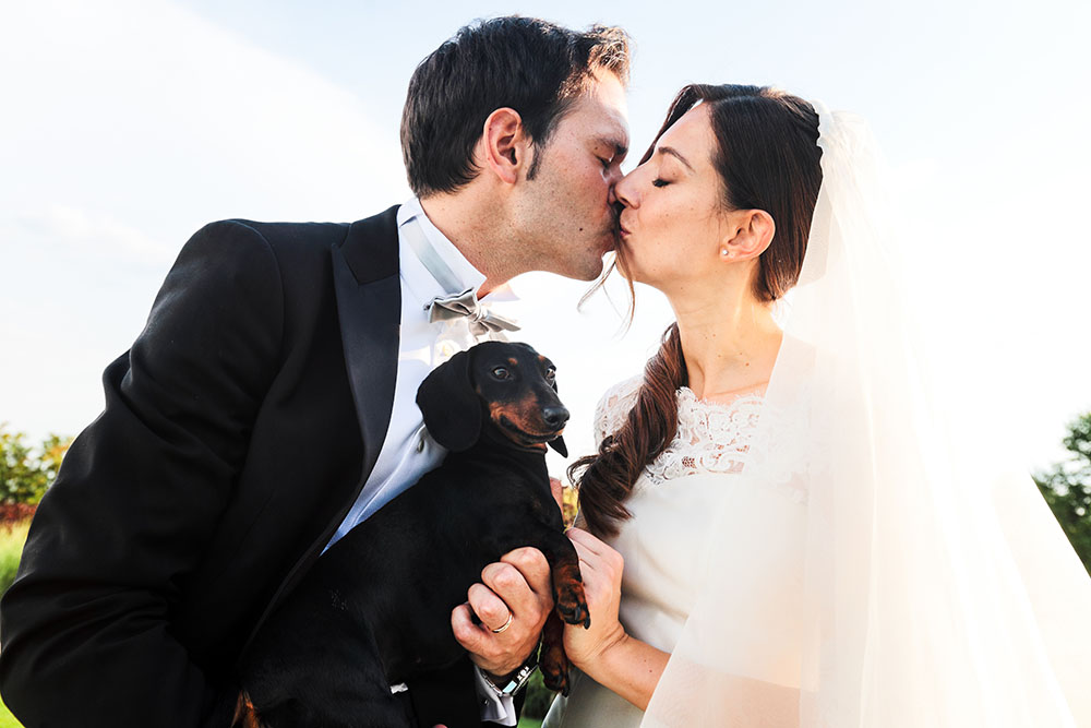 matrimonio con il cane bassotto 