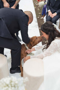 Italian Wedding Villa Selvatico elegant dog